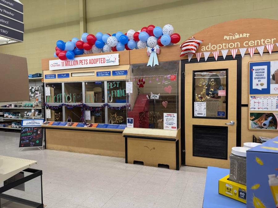 Adoption Center inside PetSmart in Idaho Falls | Courtesy Bailee Ricks