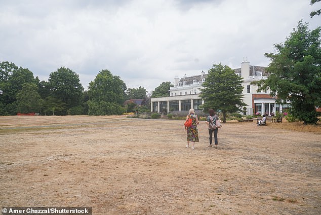 Scorched and parched grass at Cannizaro Park in Wimbledon, south-west London, yesterday