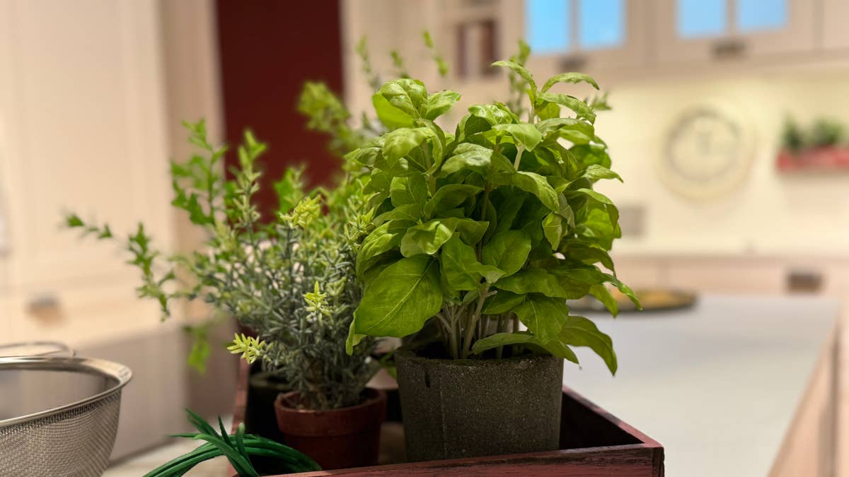 Create a budget-friendly indoor herb garden setup with Trader Joe's plants for under $25
