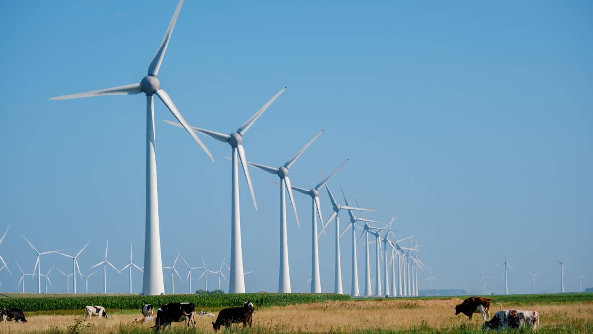 graceful-wind-turbines-towering-over-pastoral-fields-in-the-netherlands