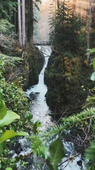 A nature scene that almost fee…