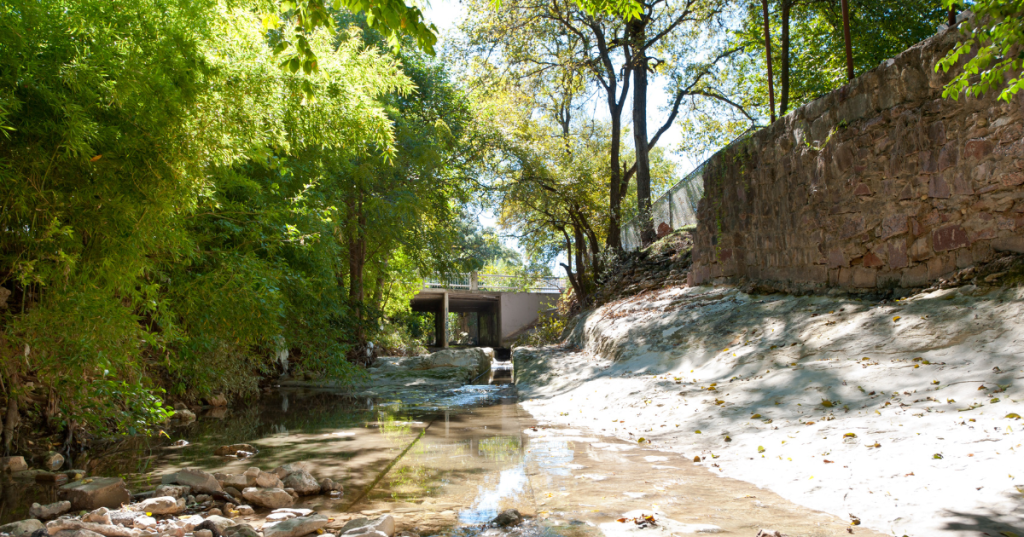 The exterior creek behind an Airbnb in Austin Texas, with green trees and water.