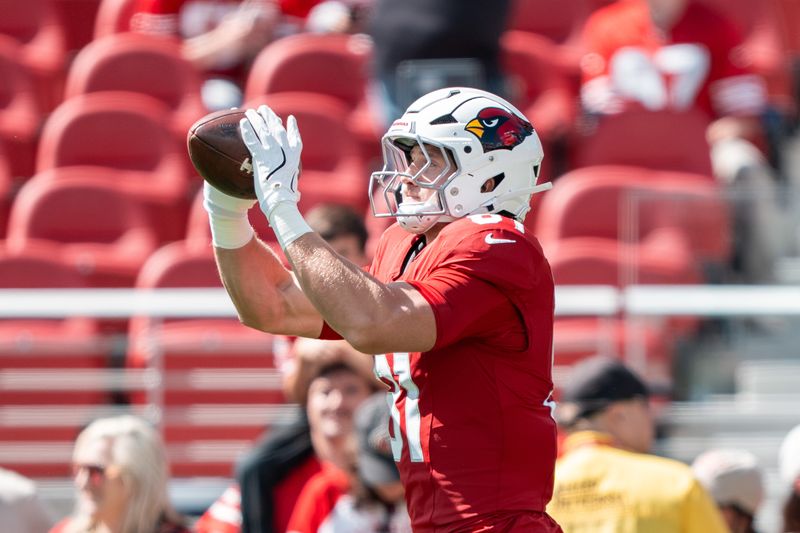 Cardinals TE Travis Vokolek retires from NFL after neck injury