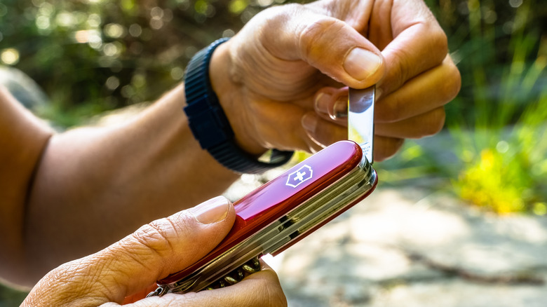 Can You Use WD-40 On A Swiss Army Knife?