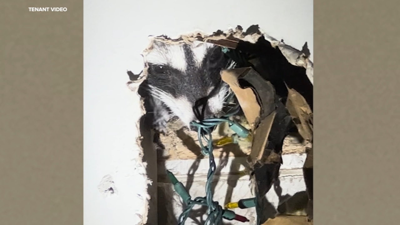 https://img-s-msn-com.akamaized.net/tenant/amp/entityid/AA28uZ4y.img?w=768&h=432&m=4&q=99
