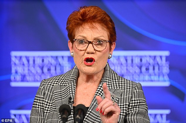 Swan will compare Hanson (pictured) to former Queensland Premier Sir Joh Bjelke-Petersen