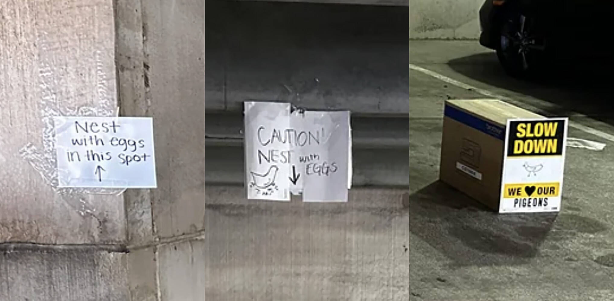 Woman Sees Parking Spot Blocked Off With Signs — Then Learns The Sweet Reason Why