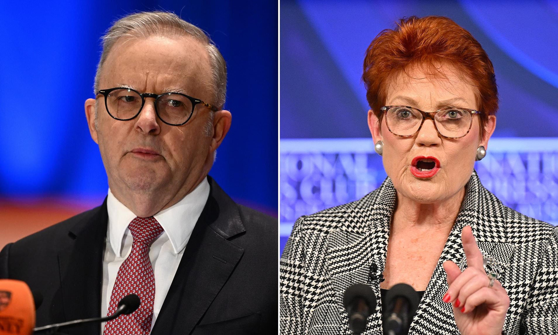 Labor president gives Anthony Albanese a reality check about the rise of One Nation