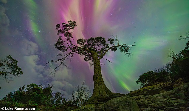This biblical image, taken by Luke Rasmussen and titled 'The Wishing Tree', captured an aurora australis on Tasmania's Bruny Island