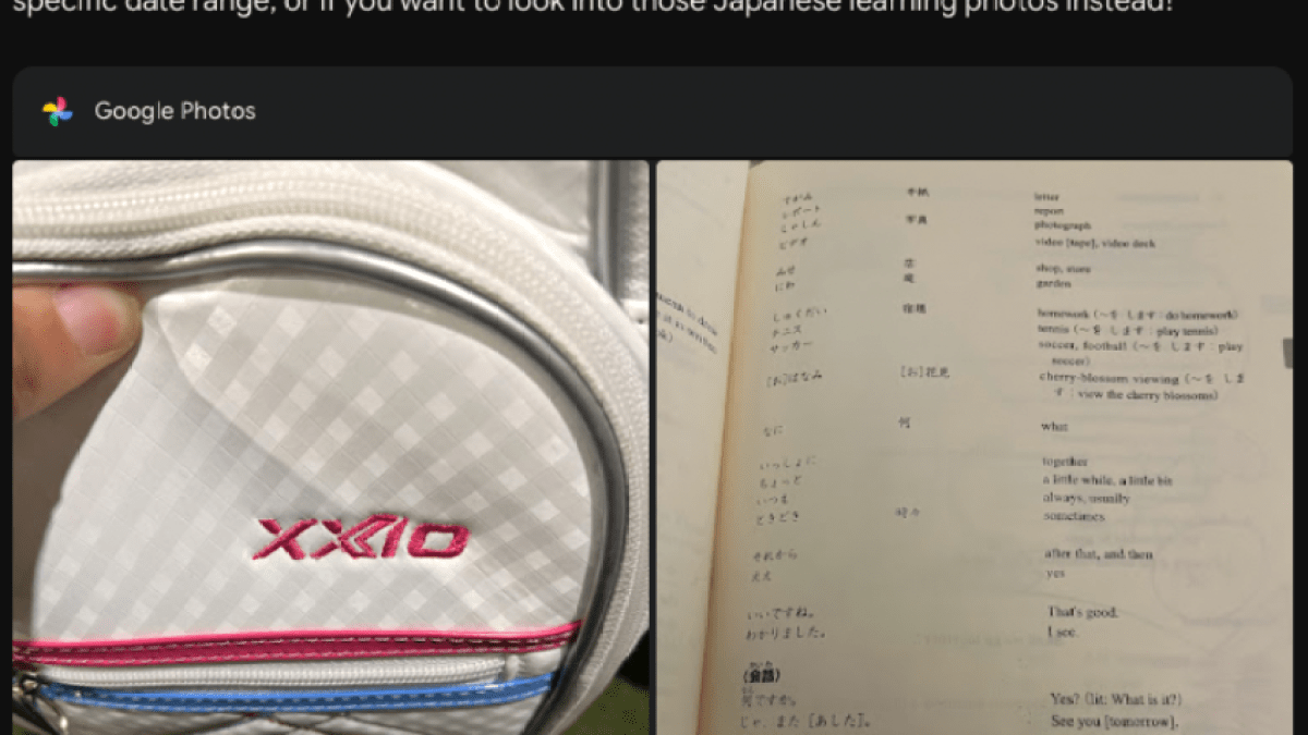 A screenshot of a search and response on Google Photos with Gemini