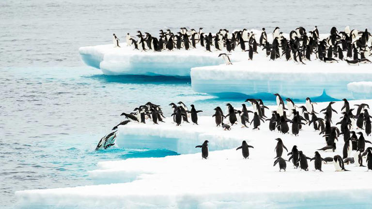 Quiz: Can you match all 7 continents with their populations? Most ...
