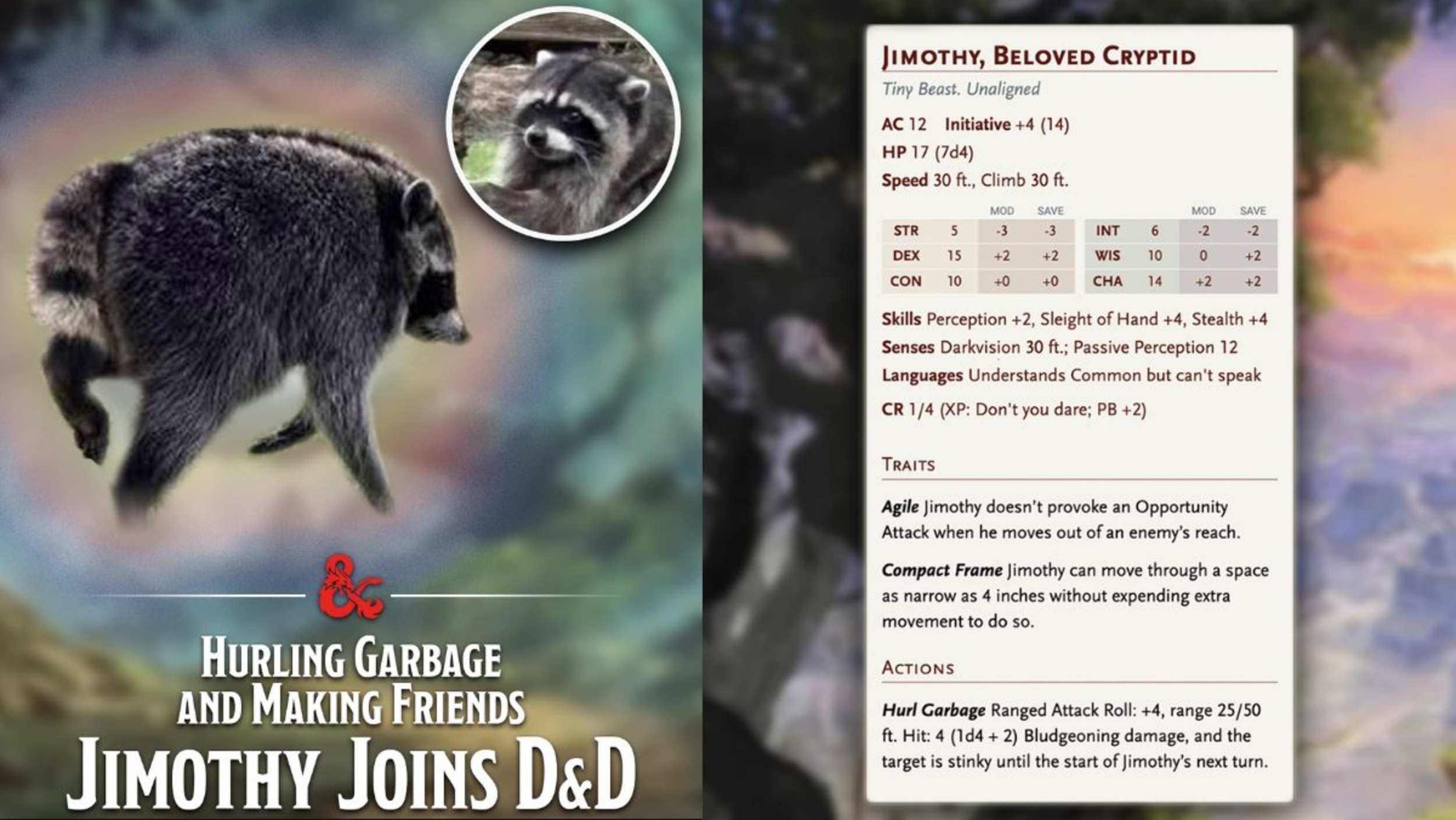 This racoon is going viral, and Dungeons & Dragons responds