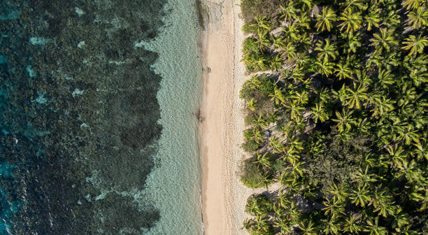 Đảo Fiji. Ảnh: Reuters