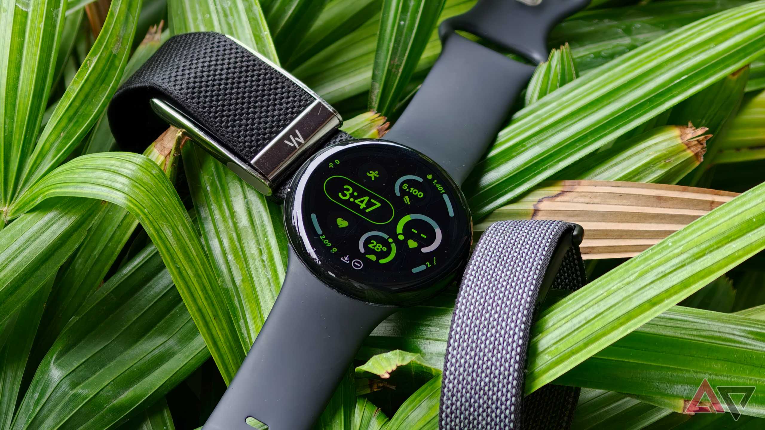 A top-down product flat lay showing a Google Pixel Watch, a Whoop tracker band, and the Fitbit Air arranged on vibrant green palm leaves