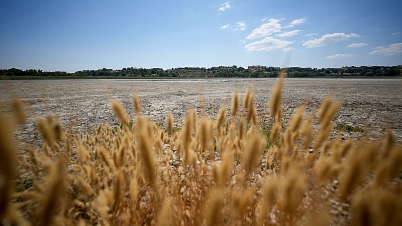 ‘Scorching, dry summers’: Heat rather than lack of rain is now to blame for Europe’s droughts