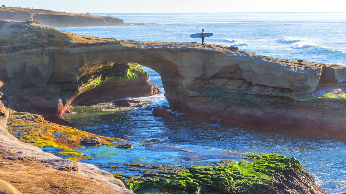 Body found floating at TripAdvisor’s No. 1 US beach sparks La Jolla mystery