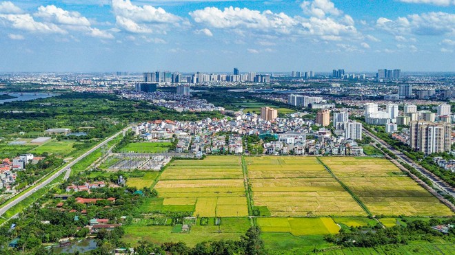 Đề xuất xử hình sự chiếm đất và hủy hoại đất: Cần thiết nhưng nên quy định rõ dấu hiệu cấu thành tội phạm