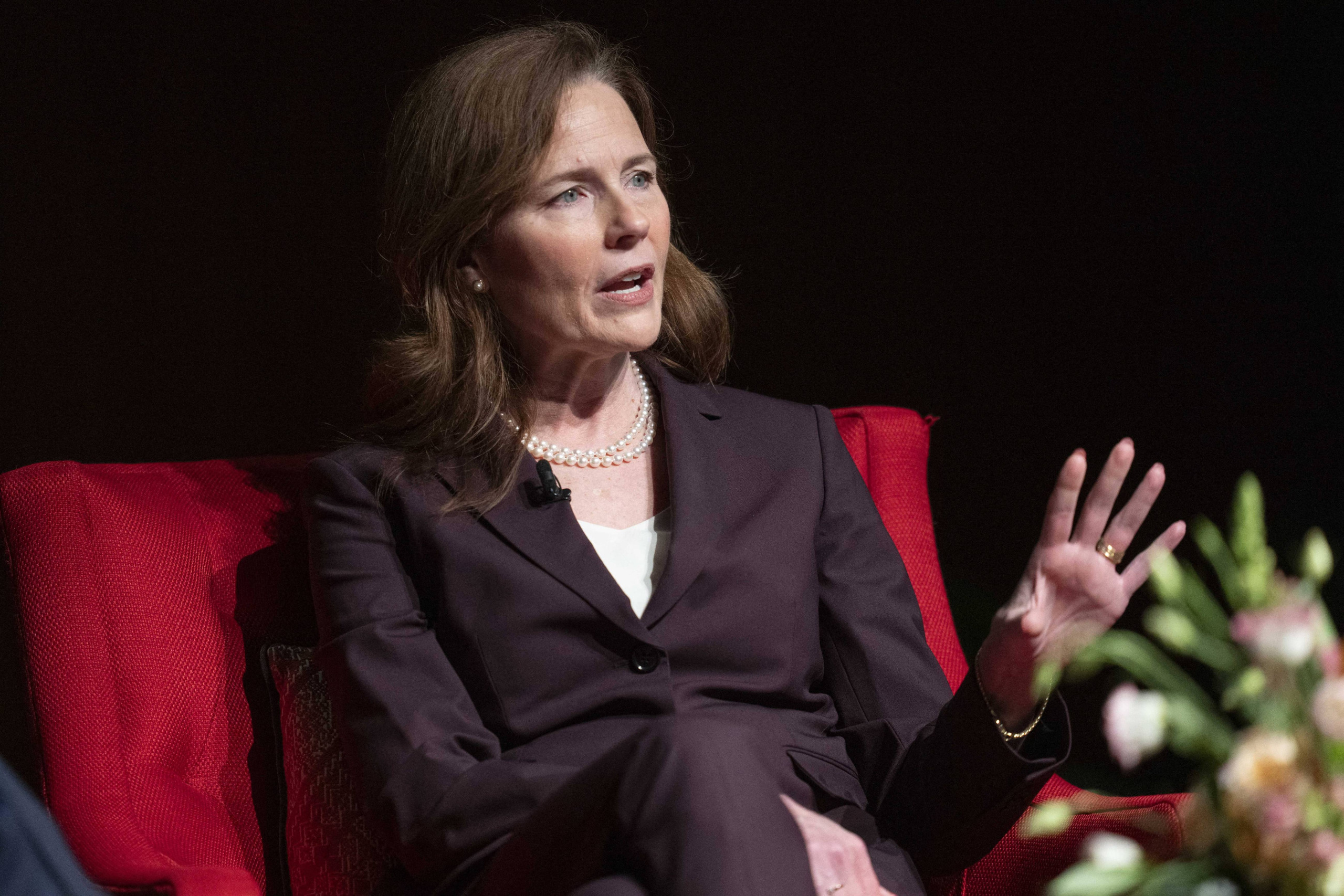 Supreme Court justices’ children would lose control of their financial assets under newly introduced bill