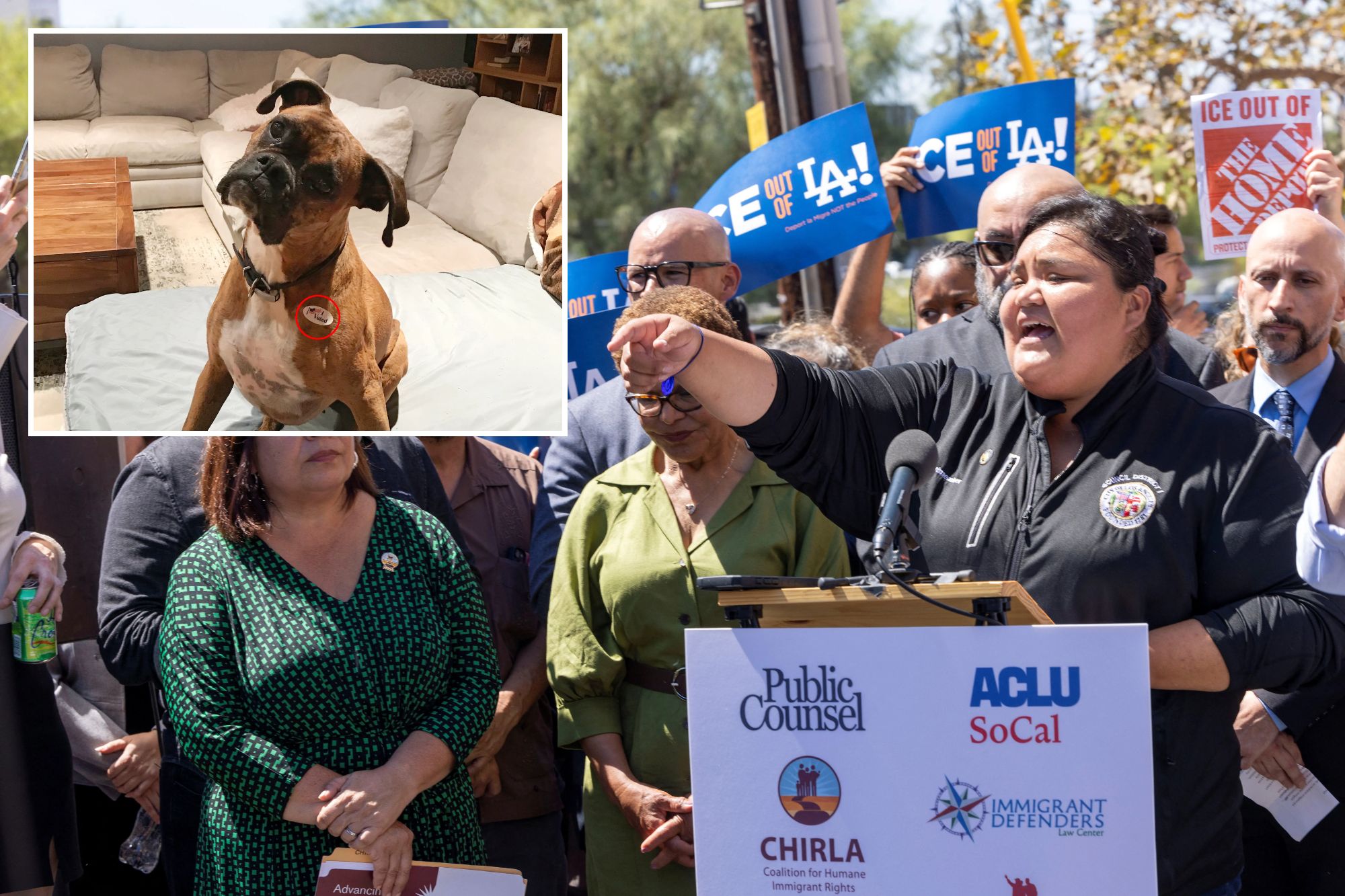 Voting dogs, harmless socialists, and the limits of AI