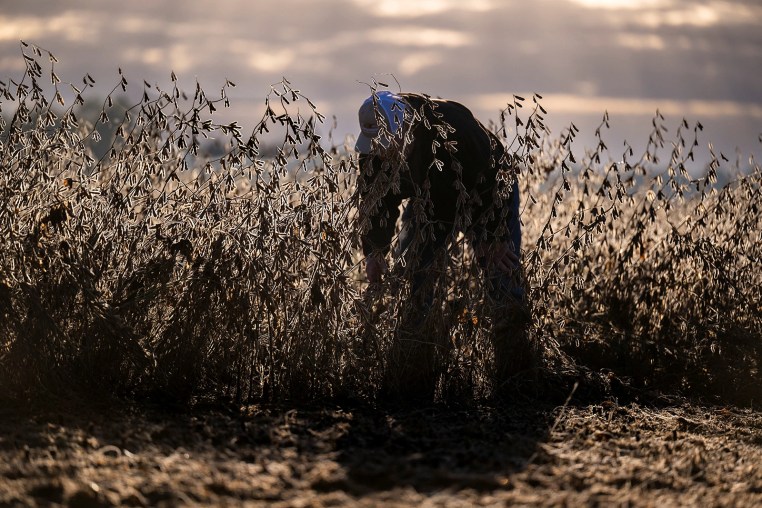 The reconciliation bailout for farmers won’t fix what Trump policies broke