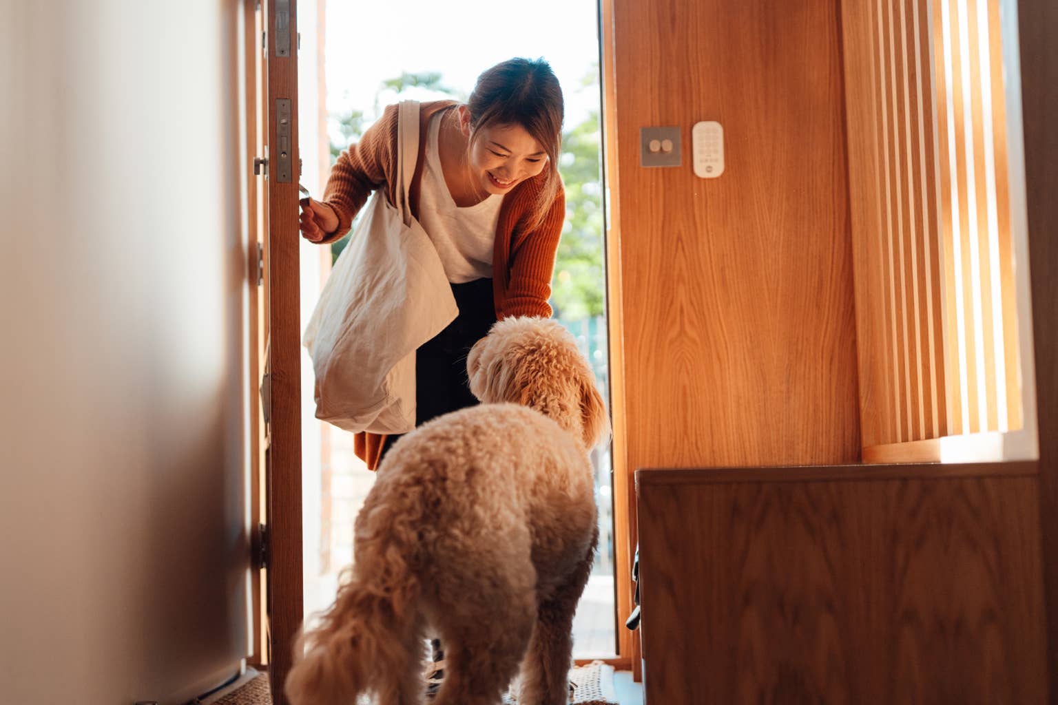 Teach your dog to greet guests calmly with this simple 'four paws on the floor' trick