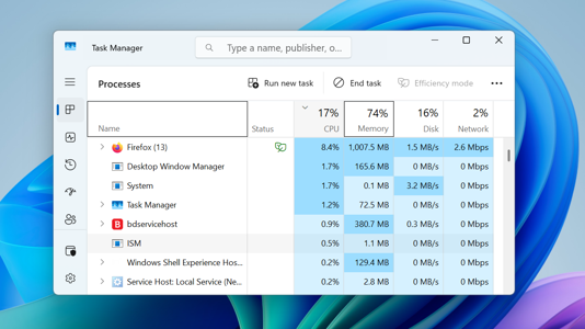 Processes in the Task Manager