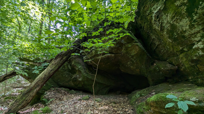 Between Indianapolis and Evansville is a hilly nature preserve for hiking, seasonal waterfalls, and serene vibes