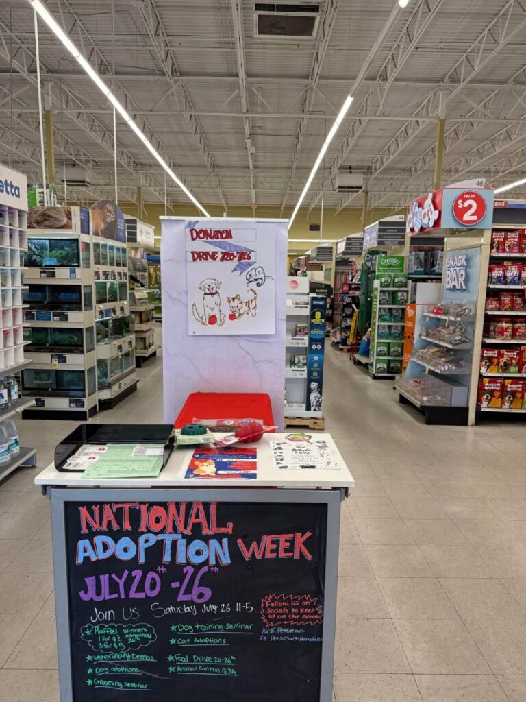 National Adoption Week stand inside PetSmart in Idaho Falls | Courtesy Bailee Ricks