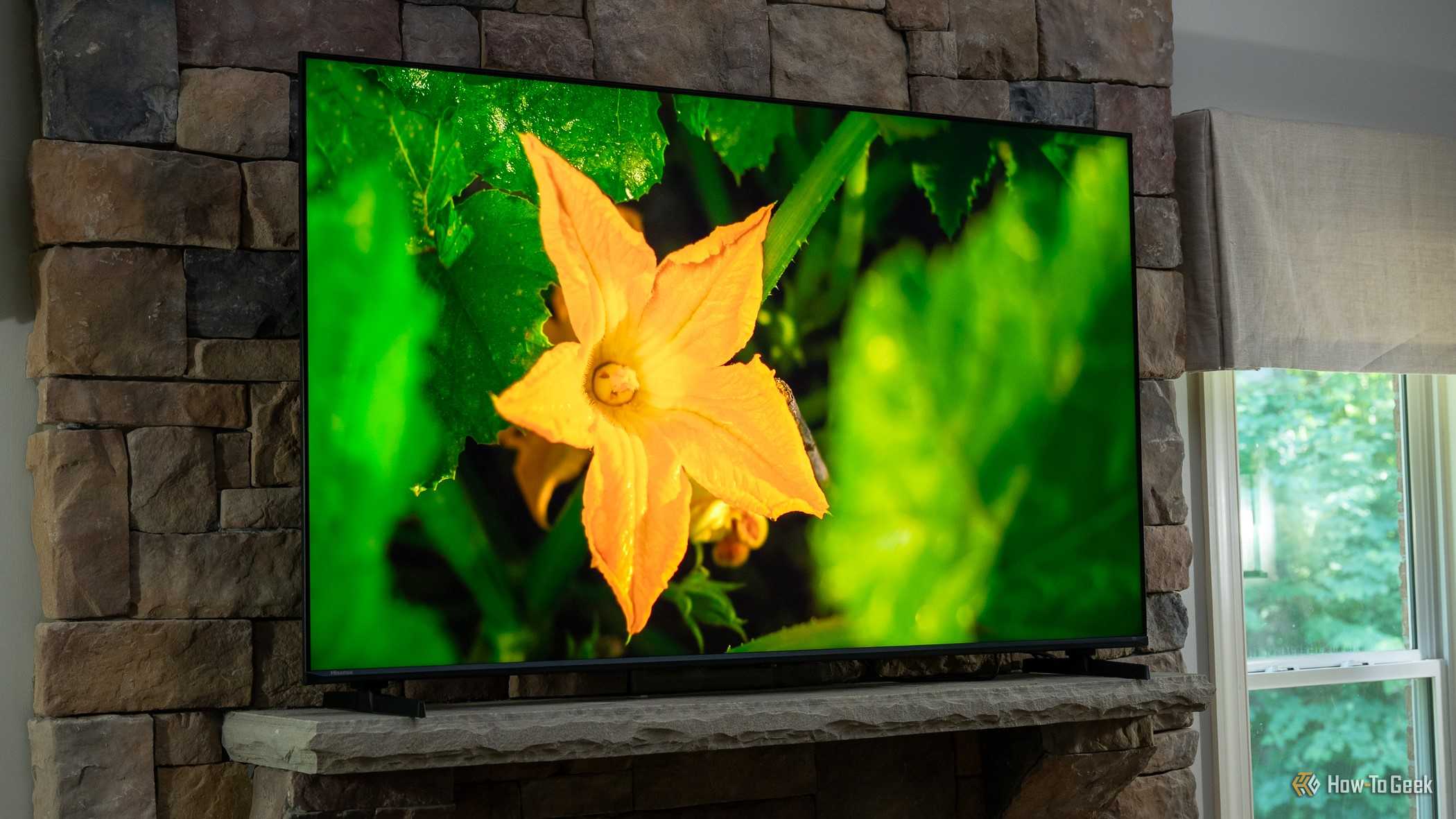 Hisense U6 Pro TV mounted on stone fireplace displaying close-up orange flower blossom surrounded by bright green leaves.
