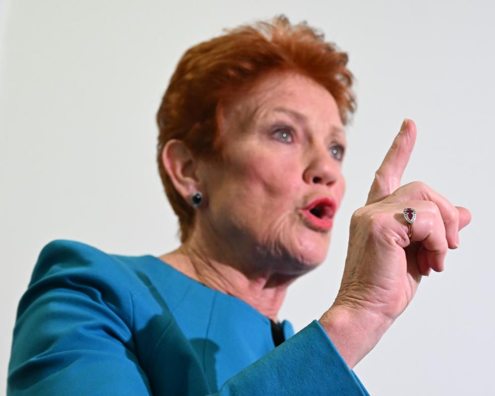 Pauline Hanson says domestic violence prevents police from dealing with 'real crime' in unearthed interview