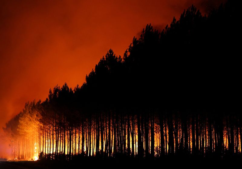 Wildfire in the Gironde department
