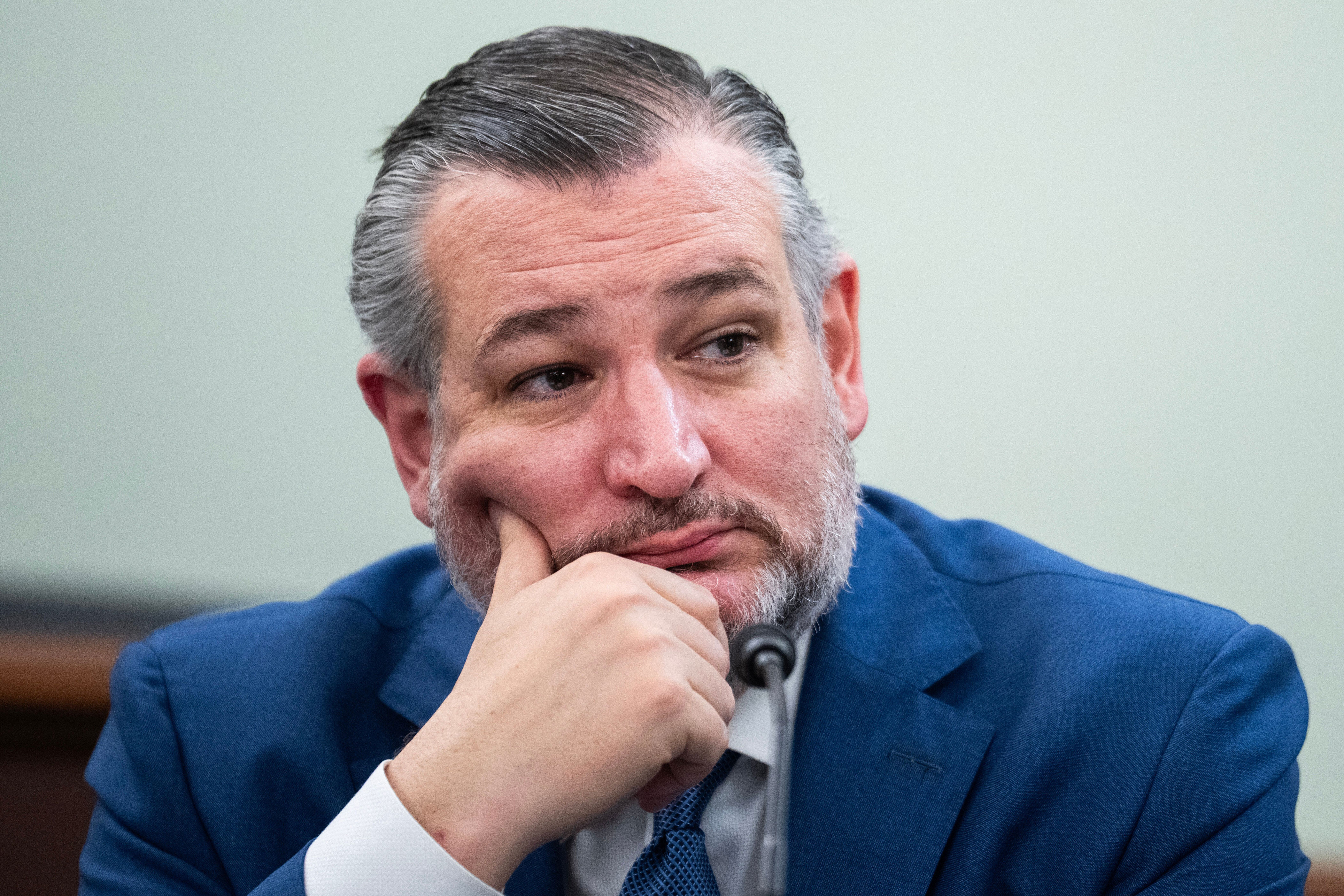 Ted Cruz ranted about 'crazy people' in politics and you know what happened next