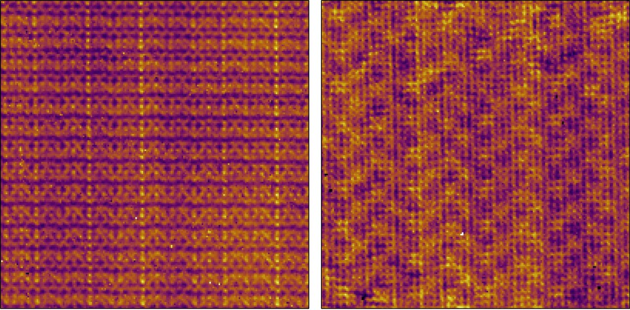 Striped or checkered? Magnetic field influences competing electronic patterns in a graphene-like quantum material