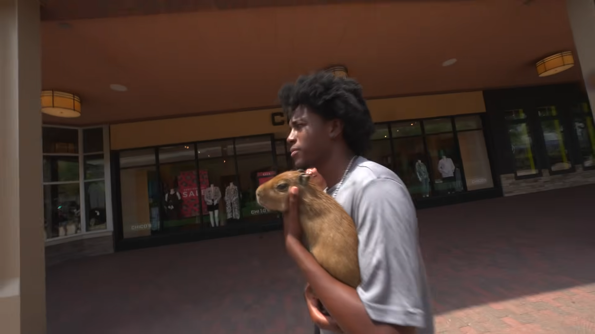We took a baby capybara to the mall… then security stepped in