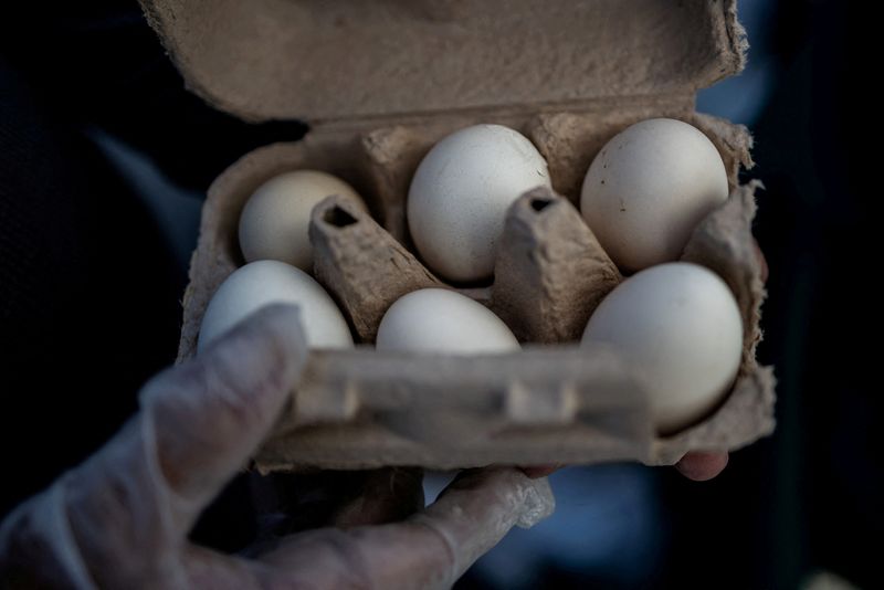 Poultry firm recalls nearly 1.6 million dozen eggs over potential salmonella, US FDA says