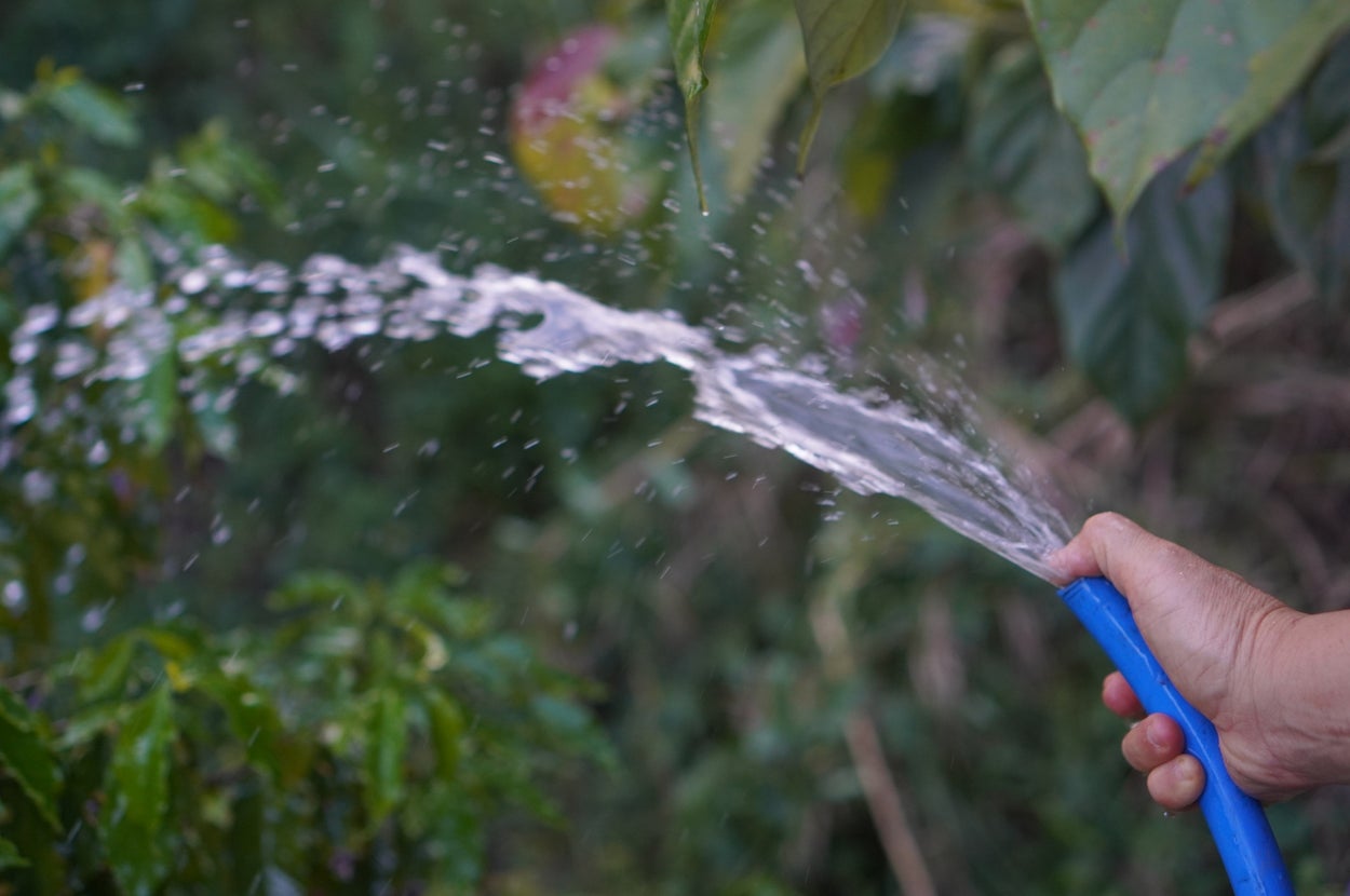 Thames Water just announced a hosepipe ban for over 10 million Brits