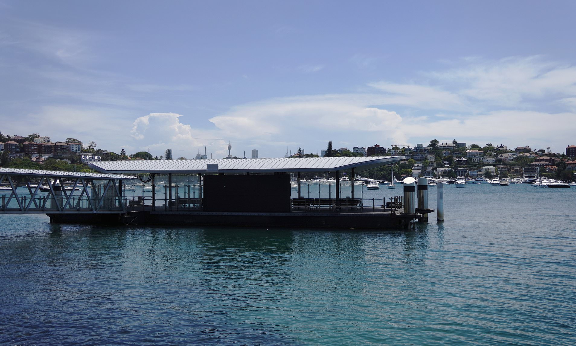 Shock as dead body is pulled from the water in one of Sydney's most exclusive harbourfront suburbs