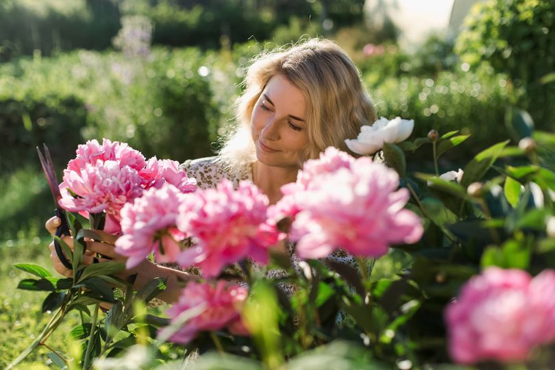 10 low-maintenance plants you only need to buy once - and they'll ...
