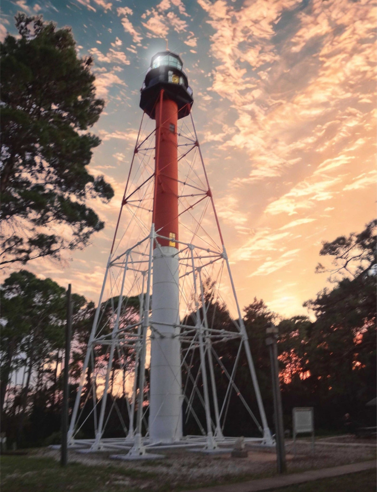 Looking for fun events? Top 5 things to do around Tallahassee