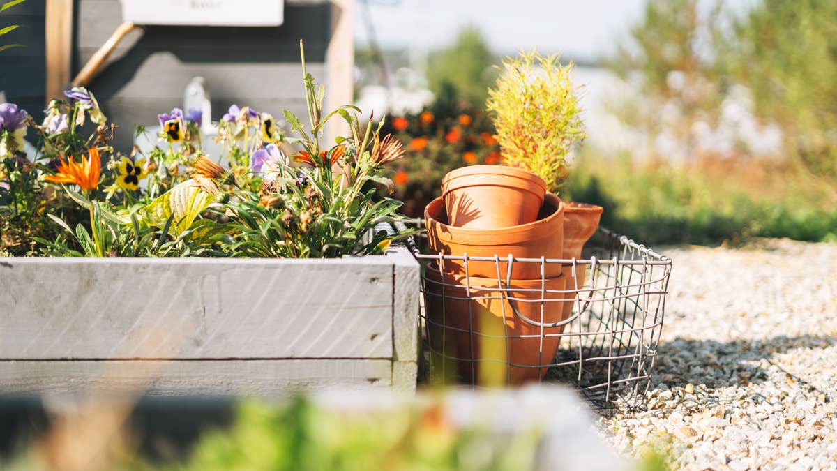 15 cheap summer garden upgrades that look expensive
