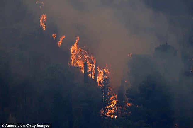 Wildfires continue to burn in several parts of Sicily as firefighting efforts remain underway in Palermo, Sicily, Italy on July 22
