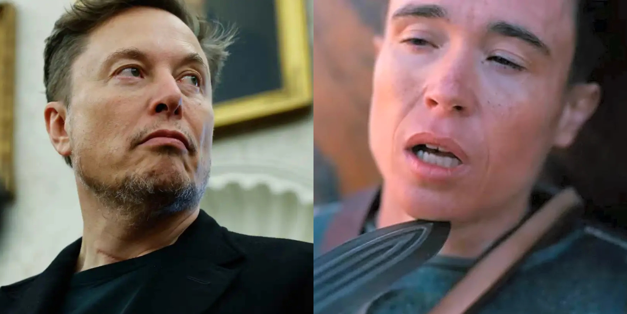Elon Musk threatens to make 'historically accurate' version of The Odyssey with Grok