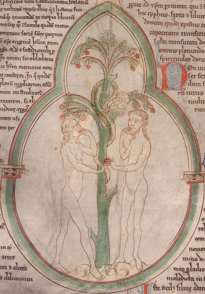 Medieval illustration of Adam and Eve standing by the tree of knowledge, with a serpent coiled around it, holding forbidden fruit