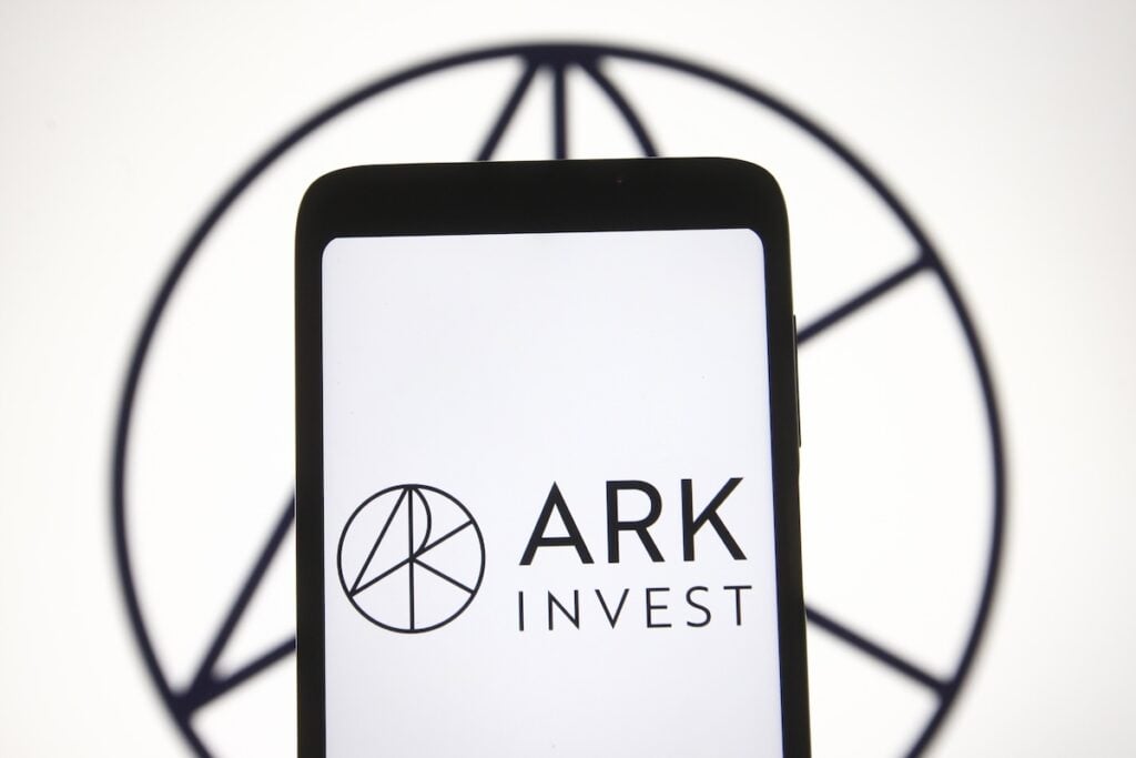 Cathie Wood bets big on SpaceX even as Elon Musk warns short sellers — Ark keeps dumping Robinhood shares