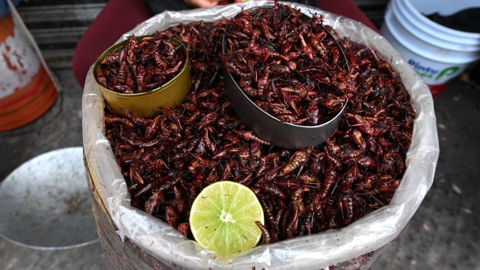 Chapulines, dried and roasted grasshoppers, a pre-Hispanic Mexican delicacy, are shown for sale on a street in downtown Puebla, Mexico. They are often used in tacos and other street foods. - Artur Widak/NurPhoto/Getty Images