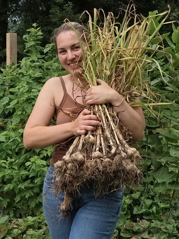 Home gardener's huge garlic harvest gets neighbors, coworkers, and Reddit talking