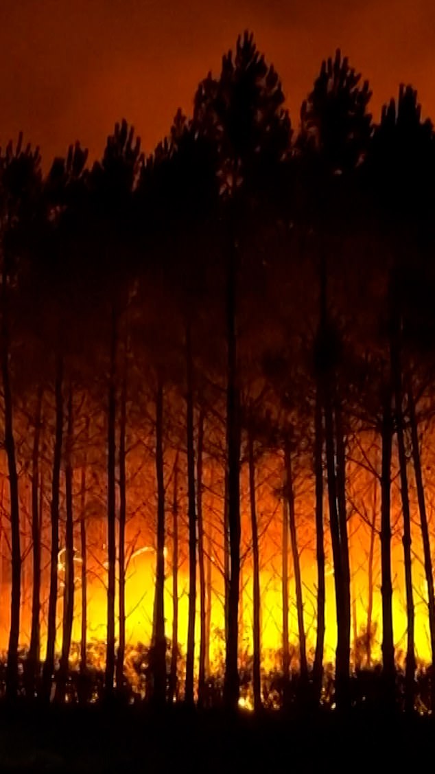 More than 10,000 people were evacuated overnight in southwestern France as a rapidly spreading wildfire scorched through 2,000 hectares of land west of the city of Bordeaux