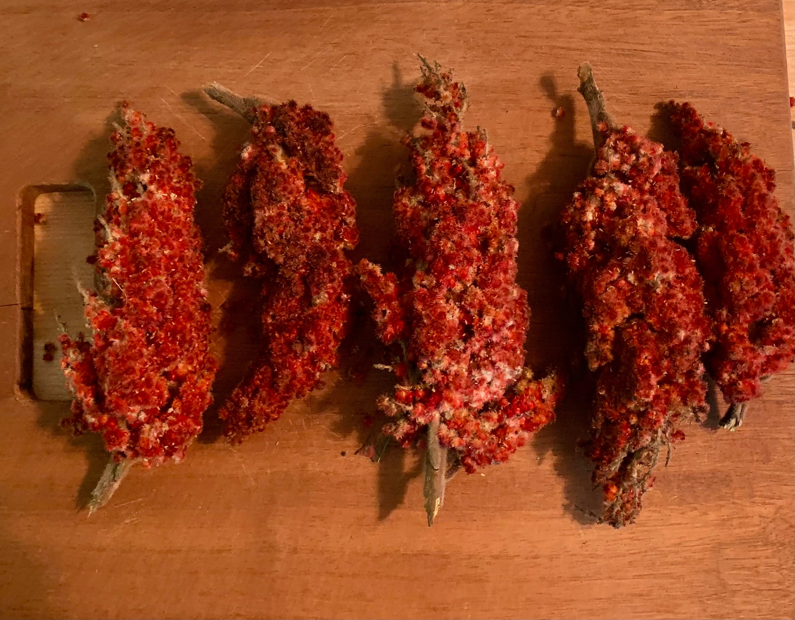 Harvest this unique, tangy, local spice in North Jersey this summer