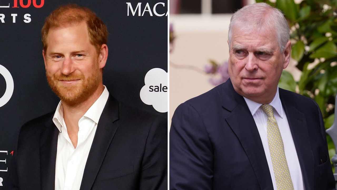 Prince Harry and Andrew Mountbatten-Windsor's unexpected nickname from palace insiders