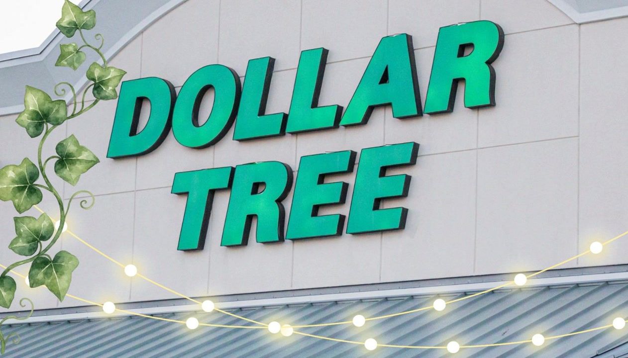 Dollar Tree's downtown girl aesthetic is $1.75 and less!